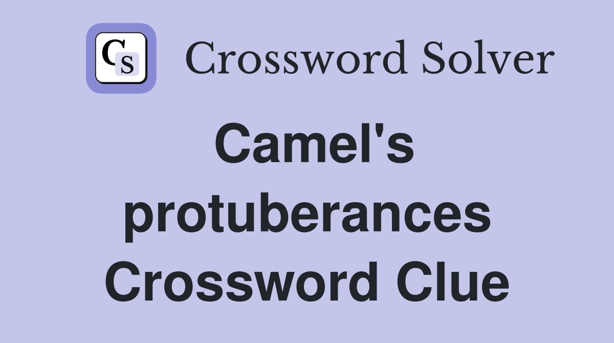 Camel's protuberances Crossword Clue