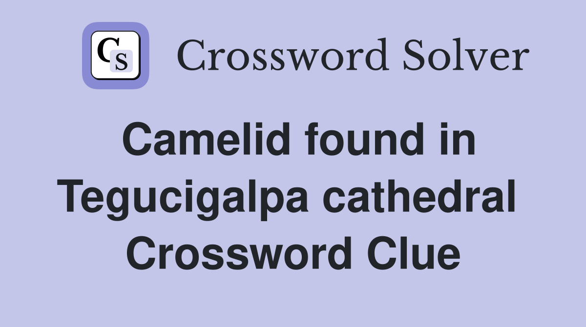 Camelid found in Tegucigalpa cathedral  Crossword Clue