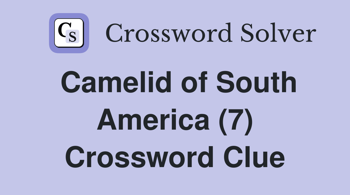 Camelid of South America (7) Crossword Clue
