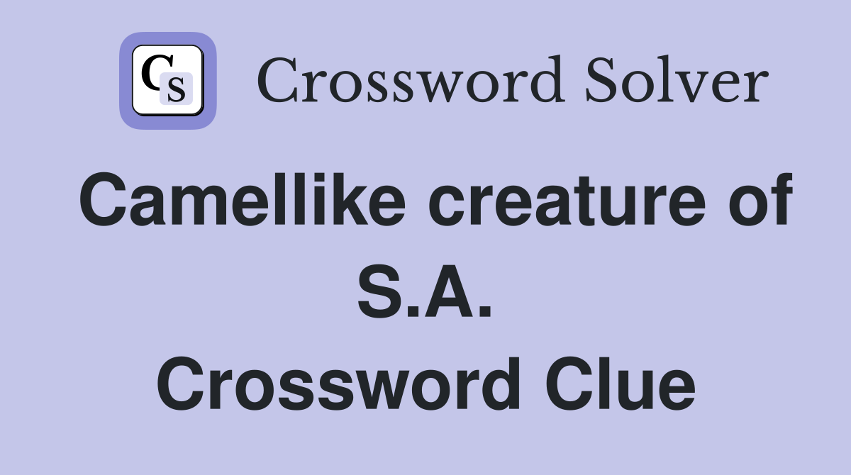 Camellike creature of S.A. Crossword Clue