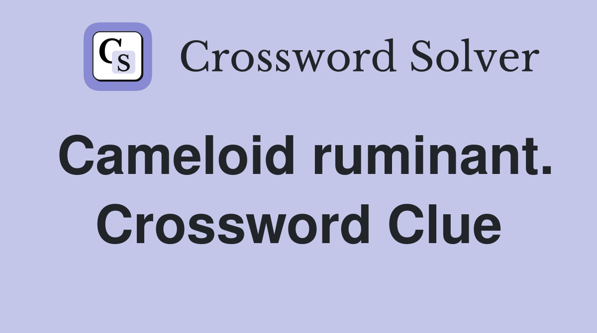 Cameloid ruminant. Crossword Clue
