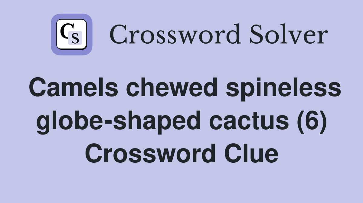 Camels chewed spineless globe-shaped cactus (6) Crossword Clue