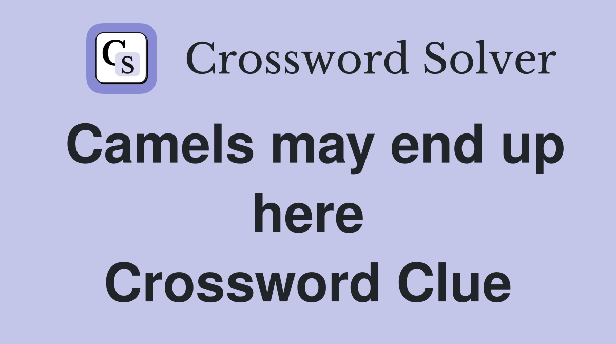 Camels may end up here Crossword Clue