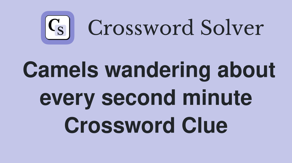 Camels wandering about every second minute Crossword Clue