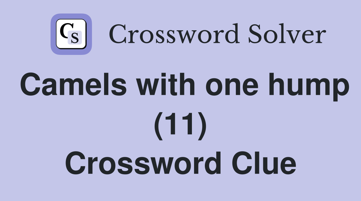 Camels with one hump (11) Crossword Clue