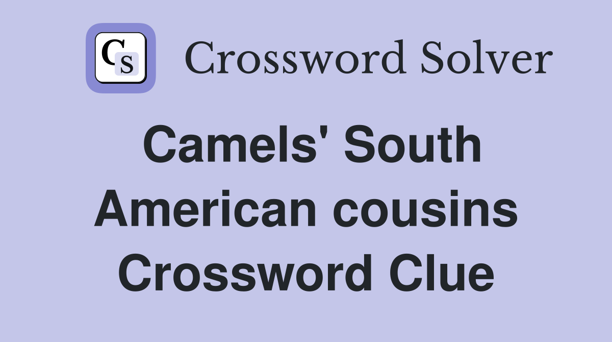 Camels' South American cousins Crossword Clue