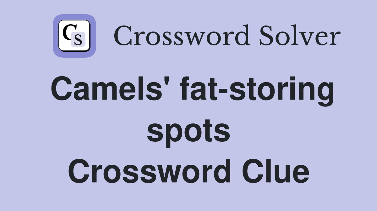 Camels' fat-storing spots Crossword Clue