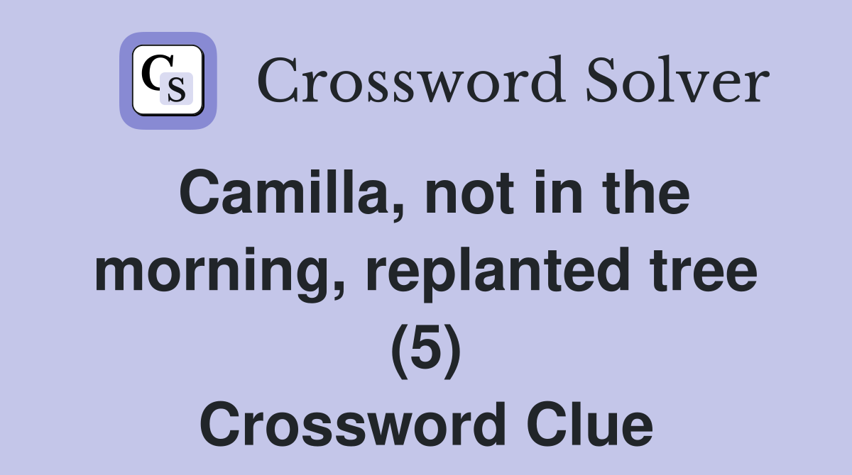 Camilla, not in the morning, replanted tree (5) Crossword Clue