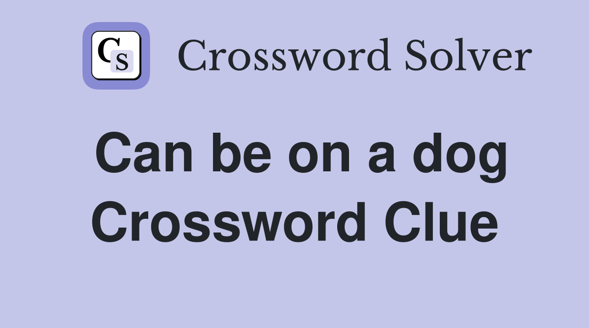 Can be on a dog Crossword Clue