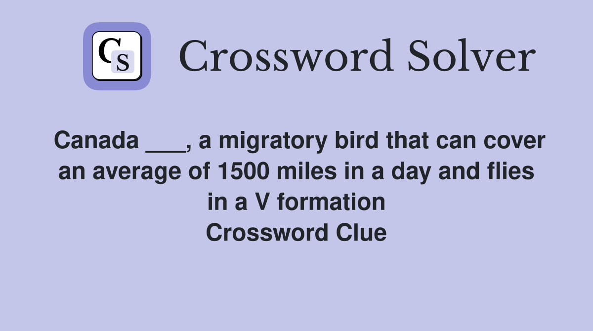 Canada ___, a migratory bird that can cover an average of 1500 miles in a day and flies in a V formation Crossword Clue
