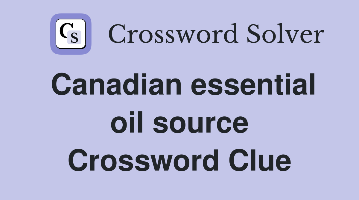 Canadian essential oil source Crossword Clue