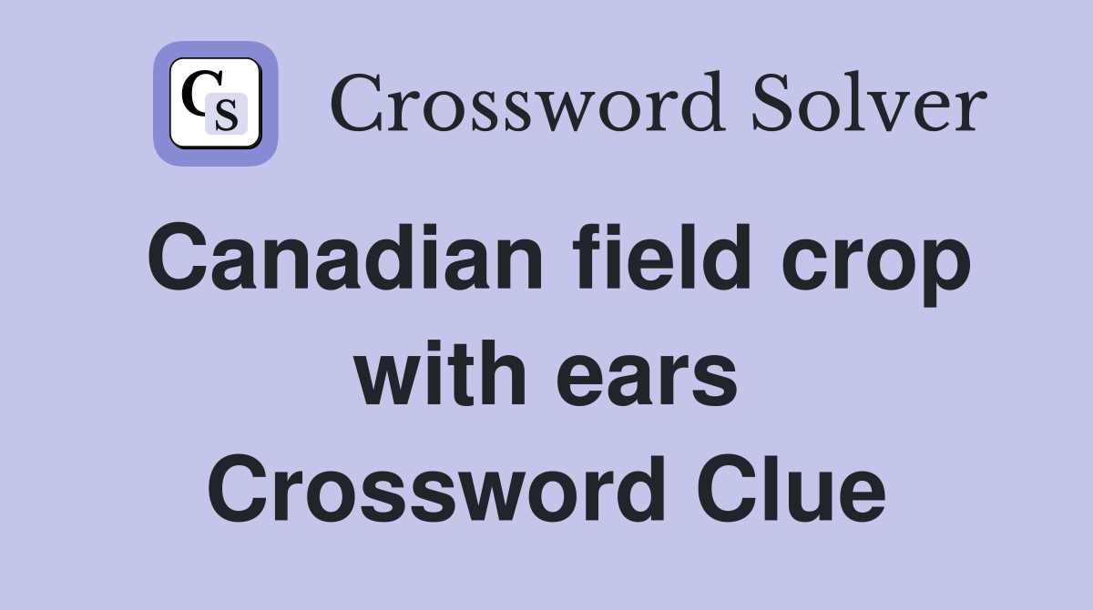 Canadian field crop with ears Crossword Clue