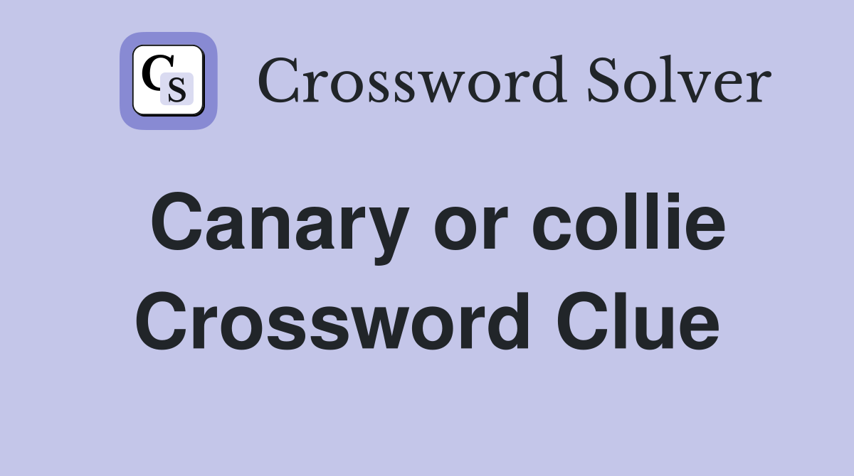 Canary or collie Crossword Clue