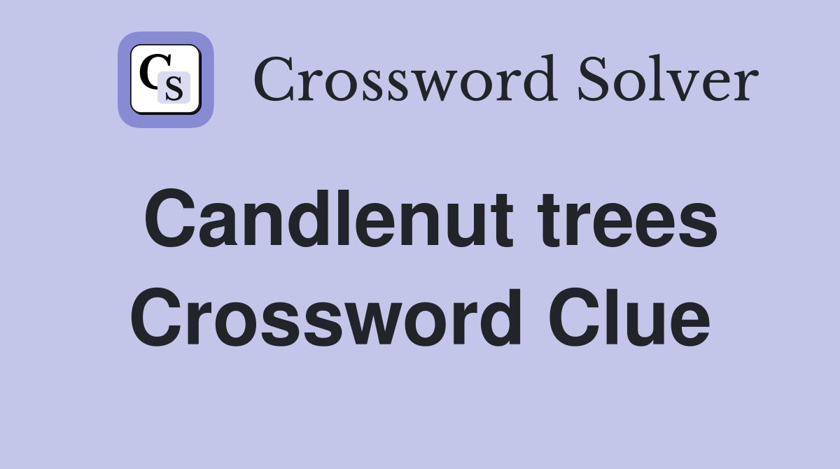 Candlenut trees Crossword Clue
