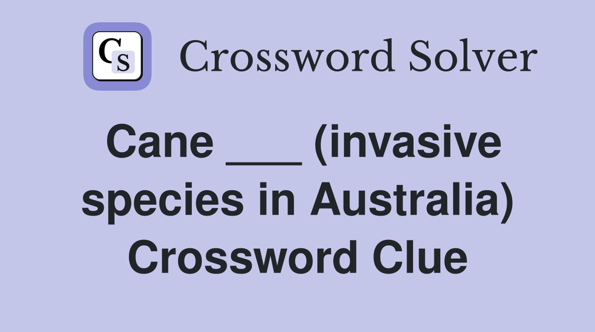 Cane ___ (invasive species in Australia) Crossword Clue