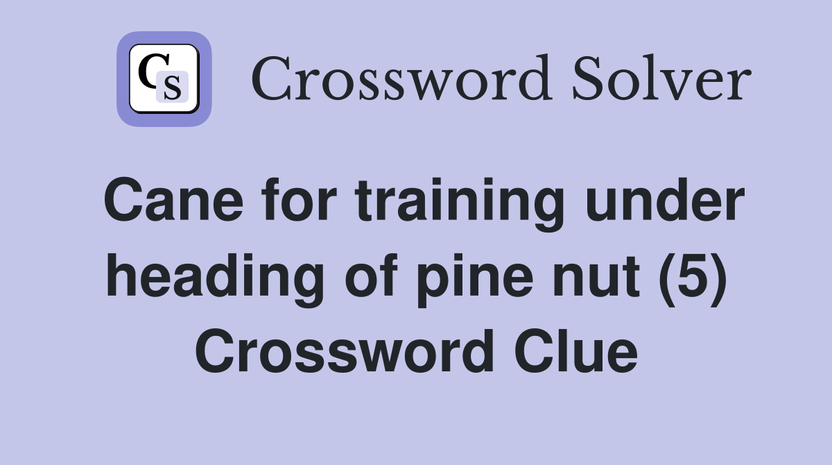 Cane for training under heading of pine nut (5) Crossword Clue