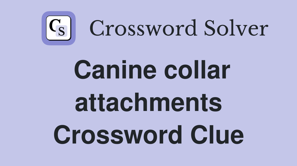 Canine collar attachments Crossword Clue
