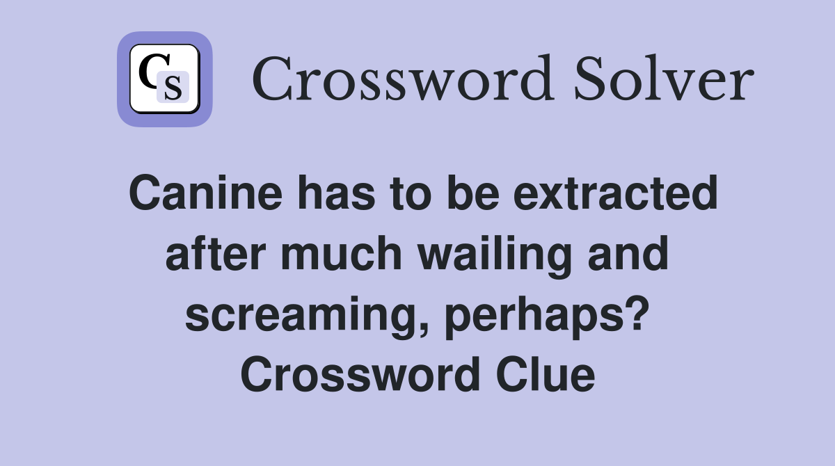 Canine has to be extracted after much wailing and screaming, perhaps? Crossword Clue