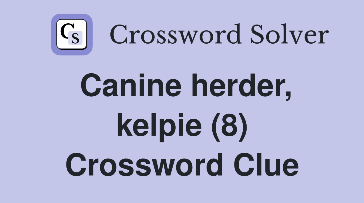 Canine herder, kelpie (8) Crossword Clue