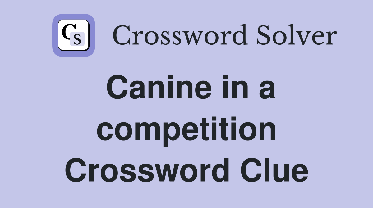 Canine in a competition Crossword Clue