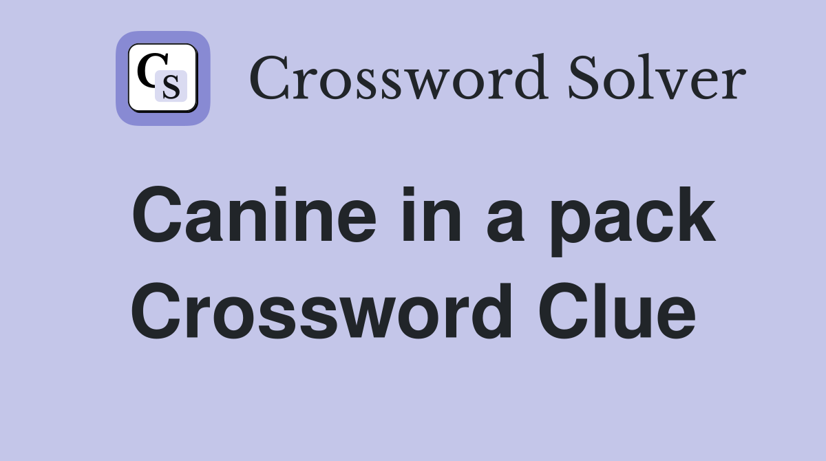 Canine in a pack Crossword Clue