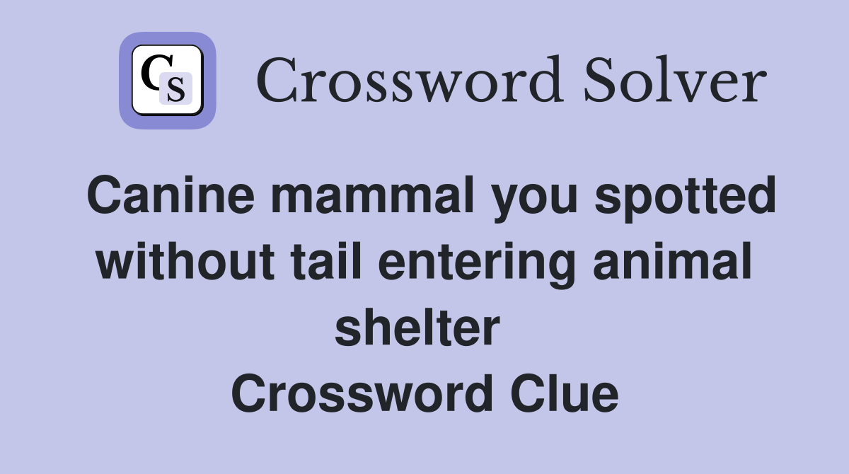 Canine mammal you spotted without tail entering animal shelter  Crossword Clue