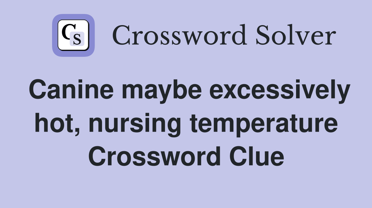 Canine maybe excessively hot, nursing temperature Crossword Clue