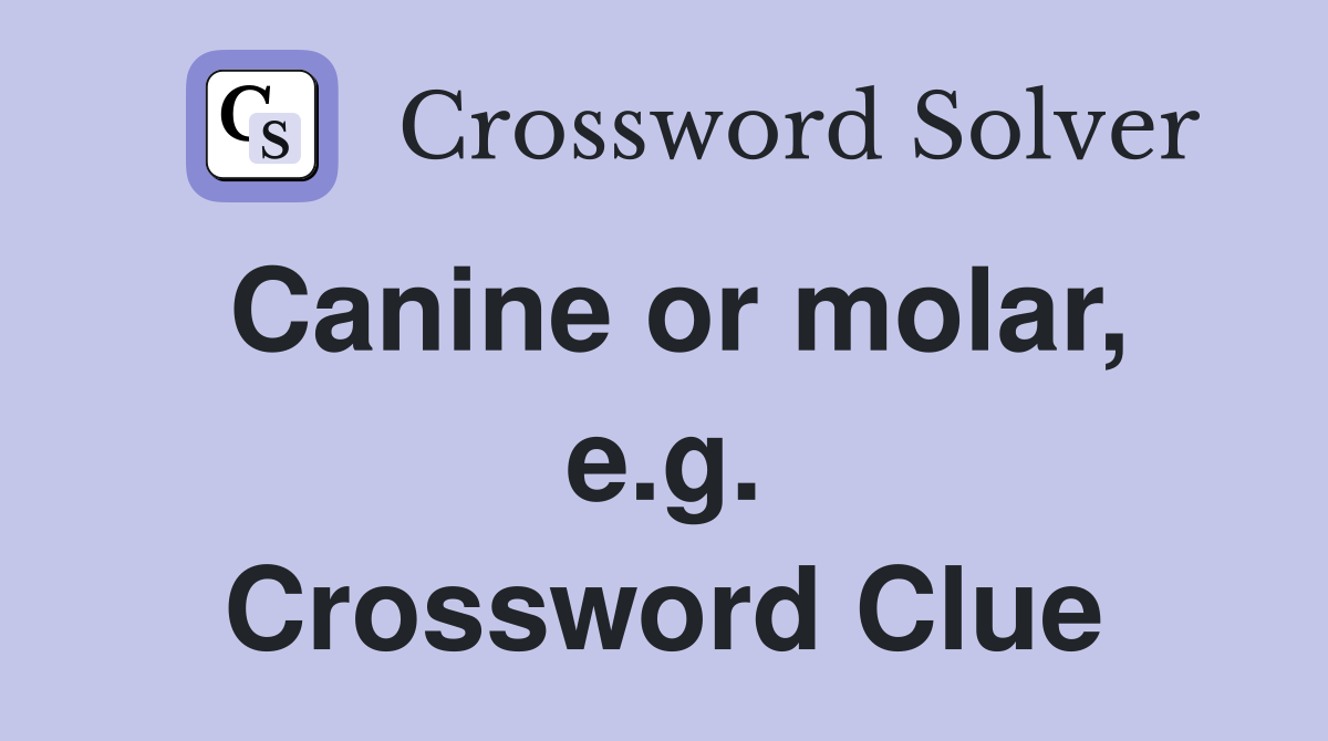 Canine or molar, e.g. Crossword Clue