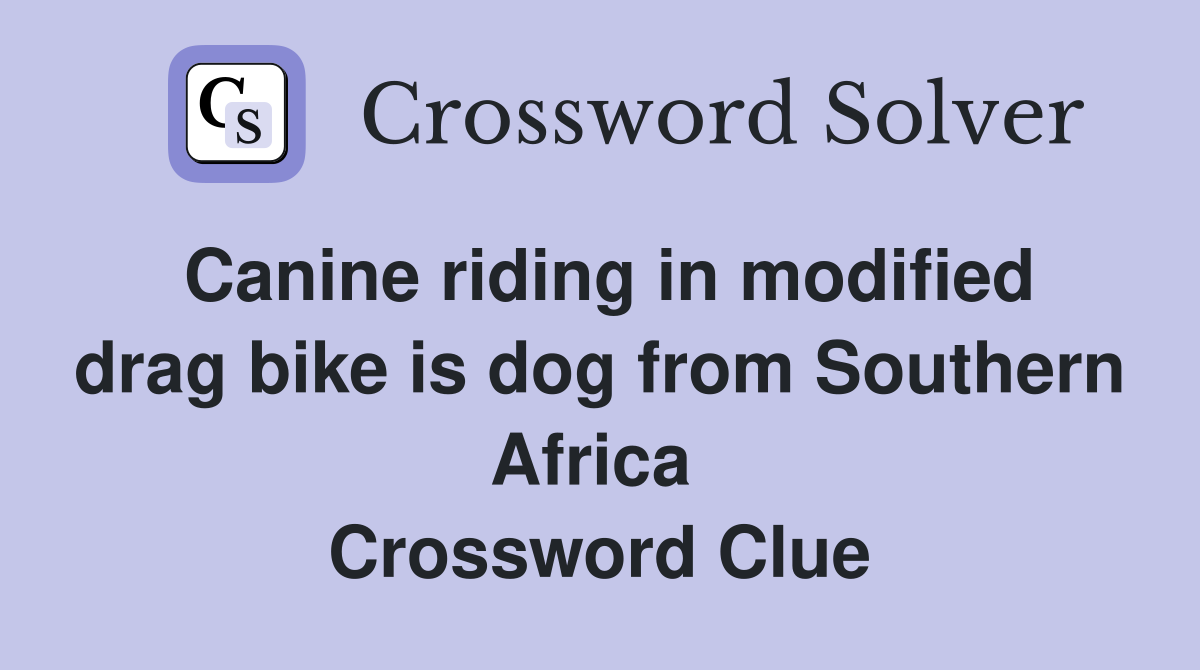 Canine riding in modified drag bike is dog from Southern Africa  Crossword Clue