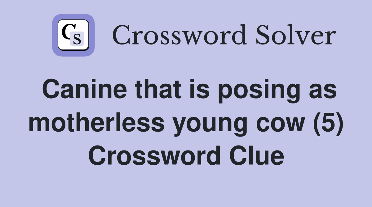 Canine that is posing as motherless young cow (5) Crossword Clue