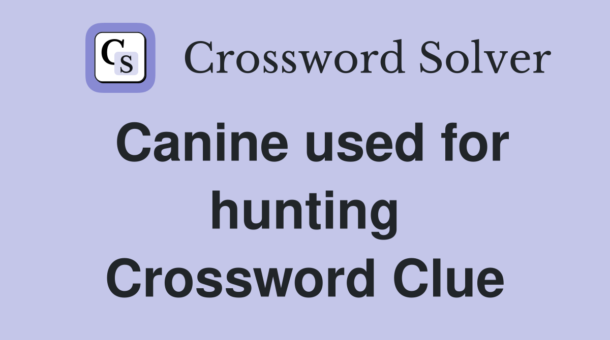 Canine used for hunting Crossword Clue