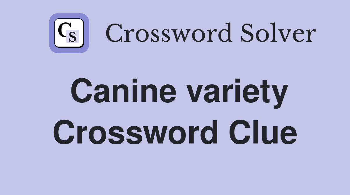 Canine variety Crossword Clue