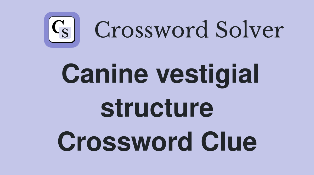Canine vestigial structure Crossword Clue