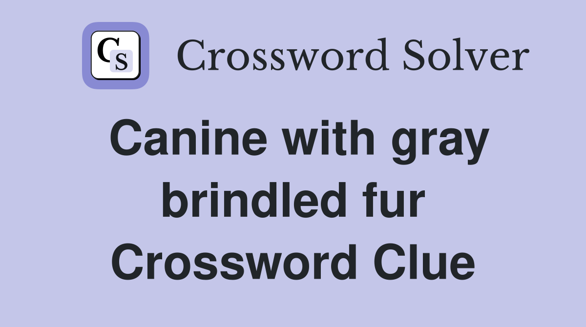 Canine with gray brindled fur Crossword Clue