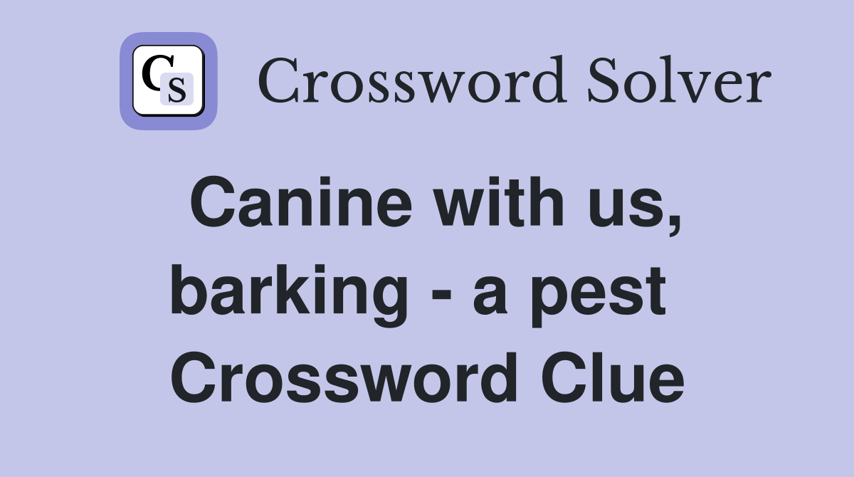 Canine with us, barking - a pest  Crossword Clue