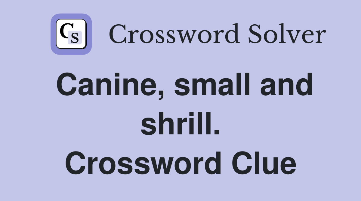 Canine, small and shrill. Crossword Clue