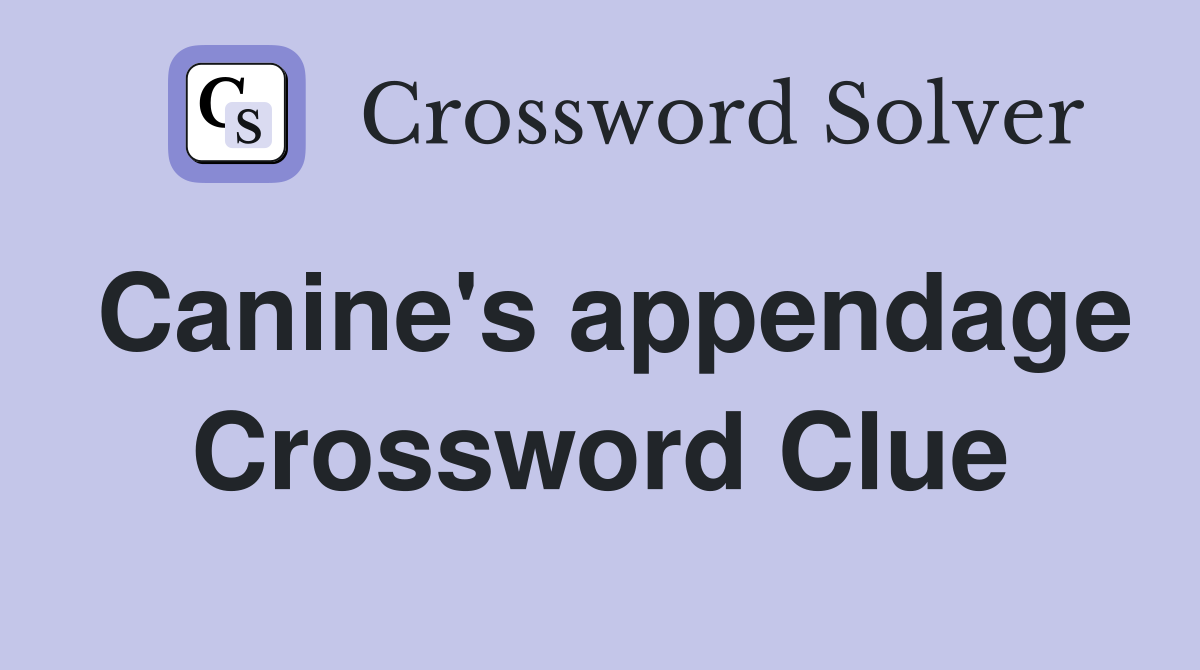 Canine's appendage Crossword Clue