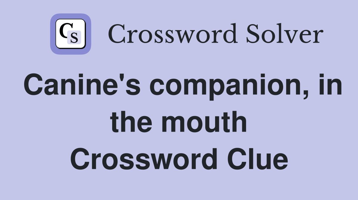 Canine's companion, in the mouth Crossword Clue