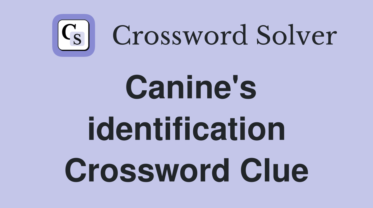 Canine's identification Crossword Clue