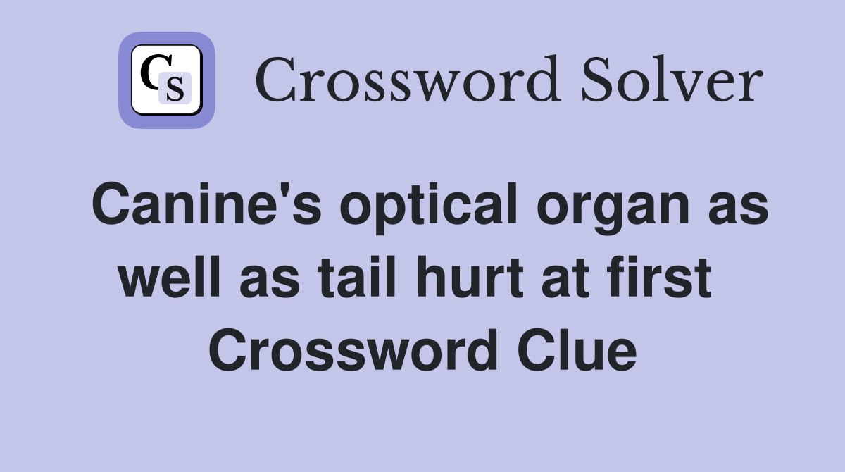 Canine's optical organ as well as tail hurt at first  Crossword Clue