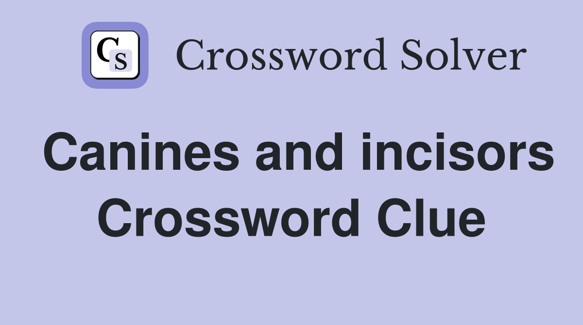 Canines and incisors Crossword Clue