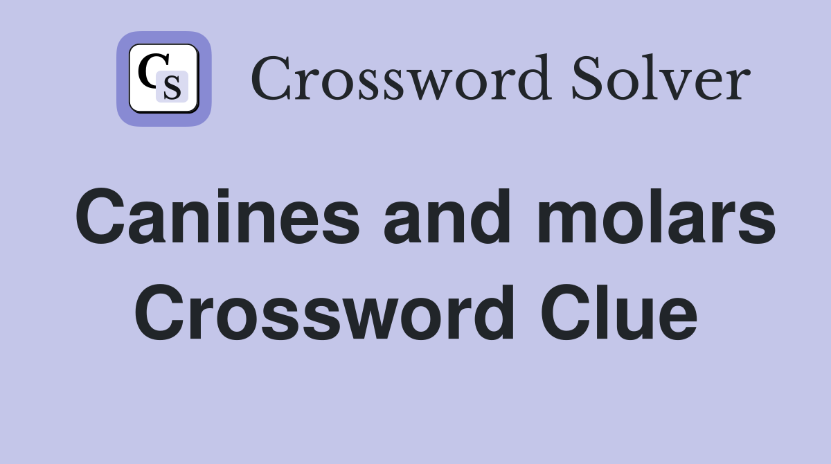 Canines and molars Crossword Clue