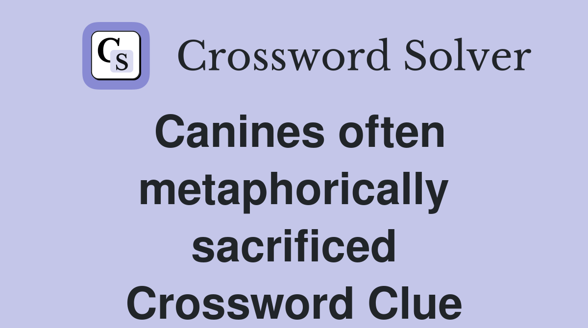 Canines often metaphorically sacrificed Crossword Clue