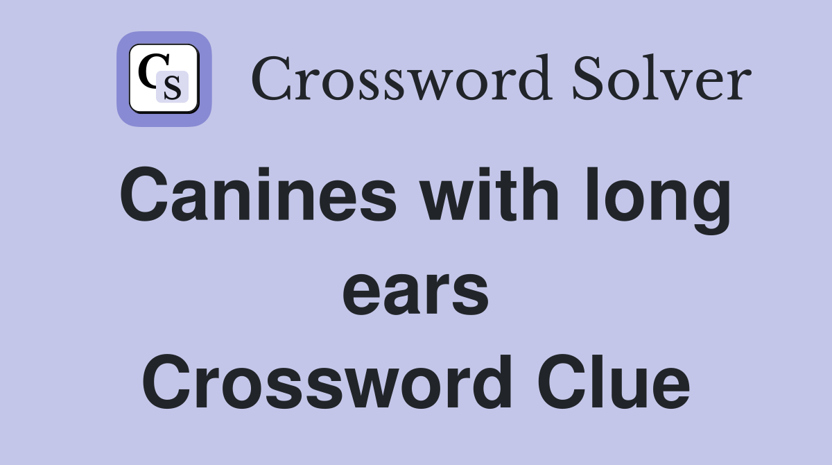 Canines with long ears Crossword Clue