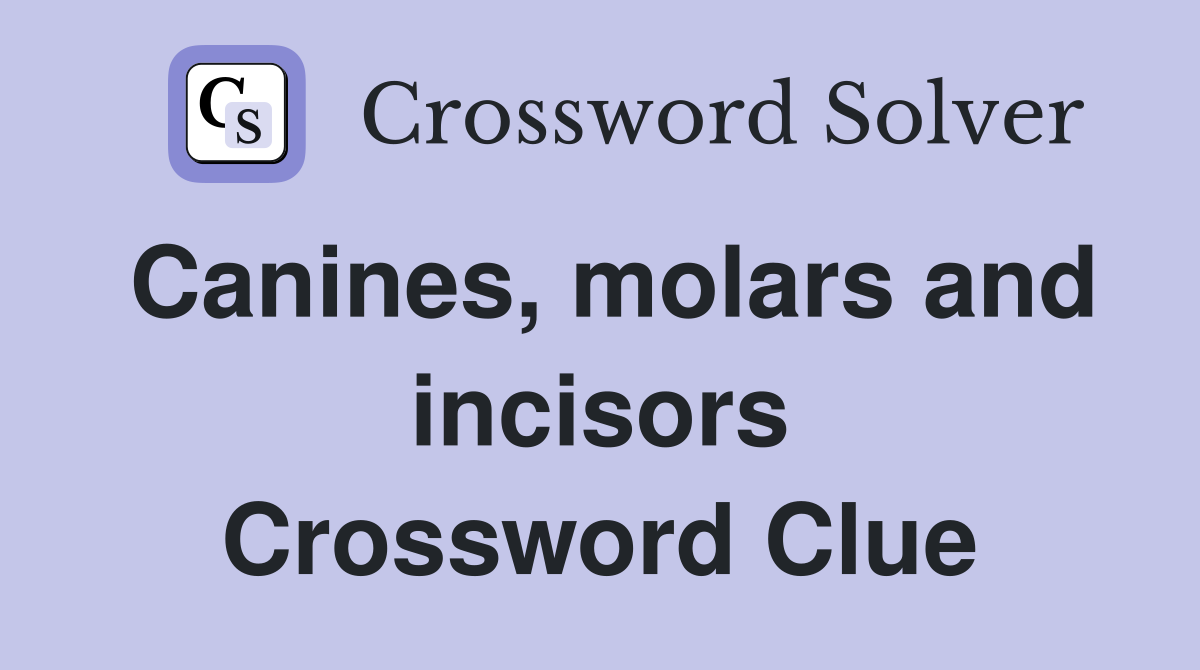 Canines, molars and incisors Crossword Clue