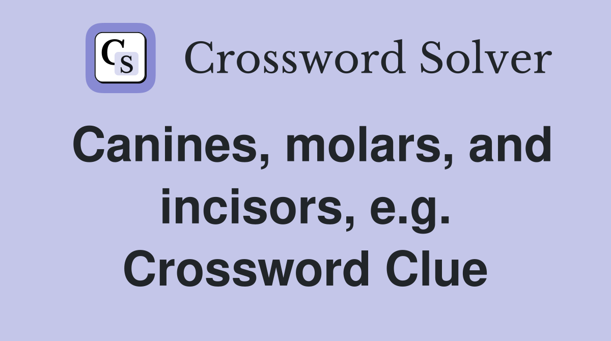 Canines, molars, and incisors, e.g. Crossword Clue