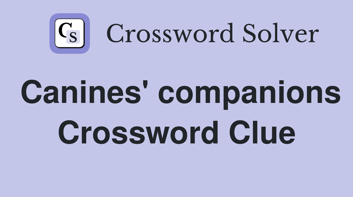Canines' companions Crossword Clue