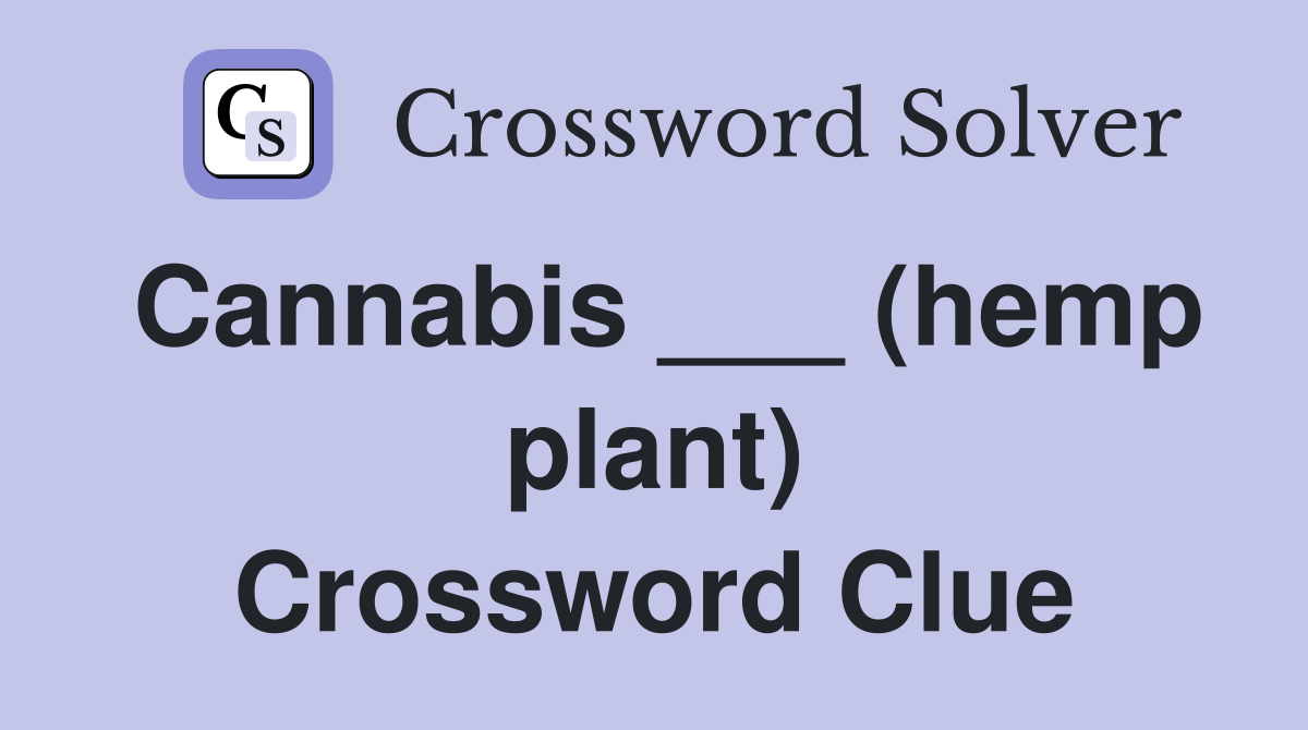 Cannabis ___ (hemp plant) Crossword Clue