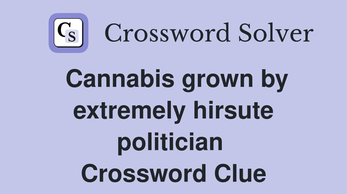Cannabis grown by extremely hirsute politician  Crossword Clue