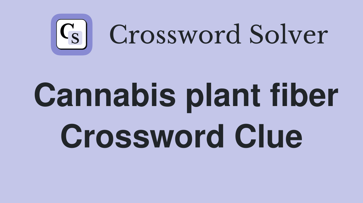Cannabis plant fiber Crossword Clue
